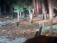-清迈夜间动物园
