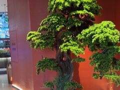 -阿伟海鲜楼·福建菜(延寿店)