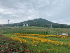 -长白山万达锦华套房酒店