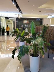 -宝贝家族国际影像馆(高新店)