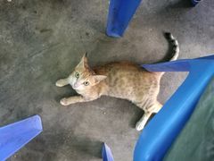 -QQ海鲜餐厅