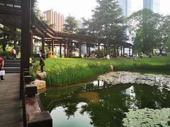 -花果园湿地公园
