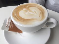 -喵的天空名猫咖啡馆·撸猫·猫舍·用品