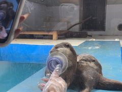 -大连圣亚海洋世界