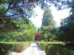 -山东大学(千佛山校区)