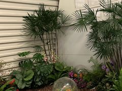 -重庆江北国际机场-T2航站楼
