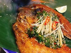 傣族传统香草烤鱼-雀舞云南菜(乐客城店)
