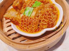 -点都德·毕德寮