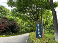 -羊山湖公园