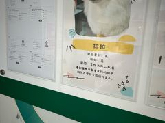 -瑞派先诺宠物医院•猫专科•普外科•中兽医(佛山院)