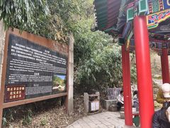 -王顺山国家森林公园