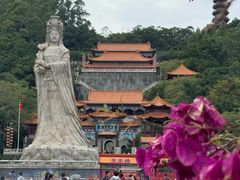 -南沙蒲洲花园