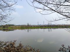 -中国天府农业博览园