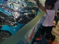 -烟台海昌鲸鲨海洋公园