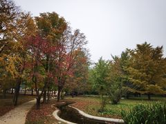 -国家植物园南园