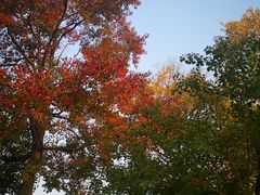 -济南国际园博园