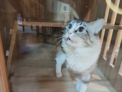 -白兔子密室(长寿路店)