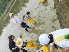 -乌村