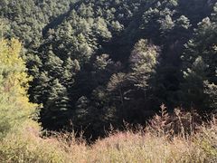-苍山感通索道