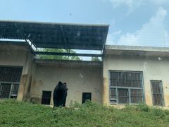 -苏州上方山国家森林公园