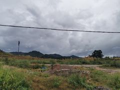-光明小镇欢乐田园