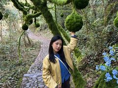 -龙湾潭国家森林公园
