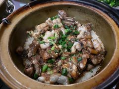 -红星光发煲仔饭(大石街店)