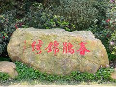 -梧桐山风景名胜区