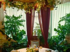 -叶叶菩提(太原别墅店)