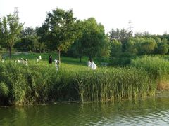 -马家湾湿地公园