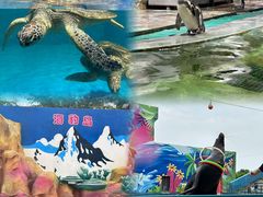 -北戴河圣蓝海洋公园