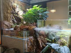 -鹏欣水游城