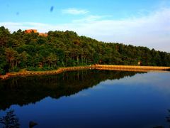 -鲁山国家森林公园