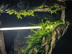 -陶祖圣境风景区