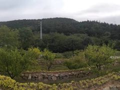 -南京市无想山景区