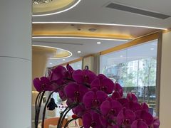 -皓齿连锁·雅贝健口腔·种植·矫正中心(虹口曲阳路店)
