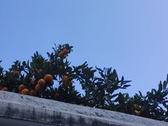 -丝绸小镇荻港古村