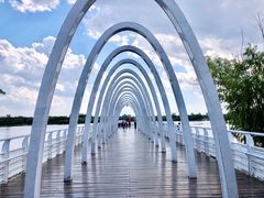 -大兴滨河森林公园