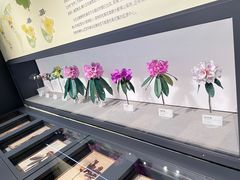 -四川大学博物馆