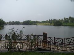 -三亚珠江南田温泉度假区