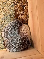 -酷嗒动物文化乐园(cutezoo西溪乐天城店)