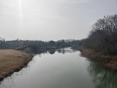 -南湖湿地公园