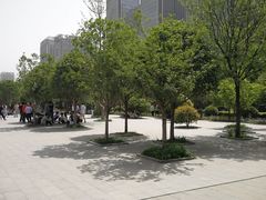 -唐城墙遗址公园