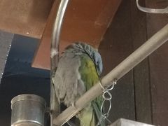 -鹦鹉小厨味道餐厅(山大南路店)