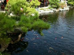 android_upload_pic-中国唐苑