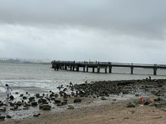 -深圳湾公园(南山区)