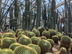 -南山植物园