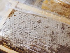 -歎雪糕低糖低脂Gelato冰淇淋