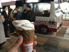-富豪雪糕车流动点(尖沙咀店)