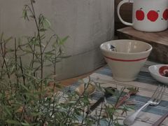 -知亘茶食
